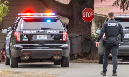 Police arrest man for shooting gun in Seahurst Park 'because it was fun'