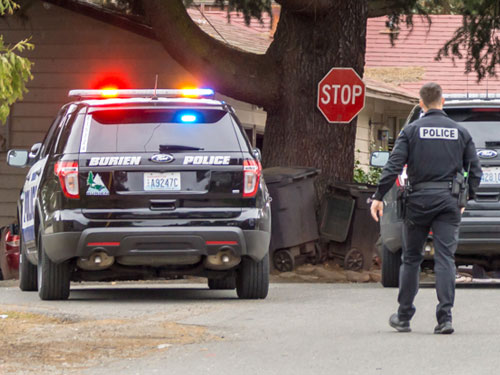 Police arrest man for shooting gun in Seahurst Park 'because it was fun'