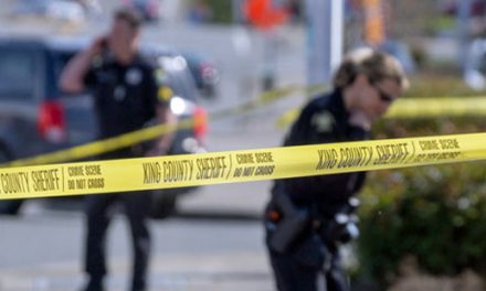 Single-car injury accident on SW 156th sends young male driver to hospital