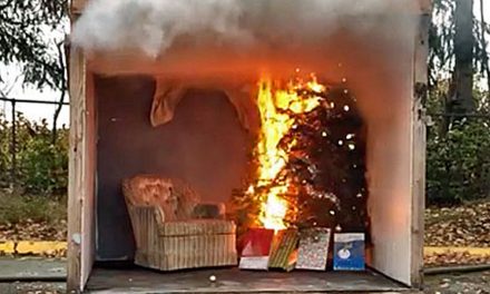 VIDEO: Puget Sound Skills Center demos flammability of a Christmas tree